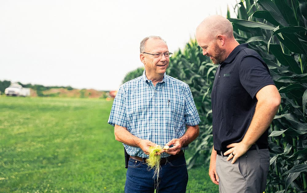Corn-Crop-Field brokers reviewing corn crop near field