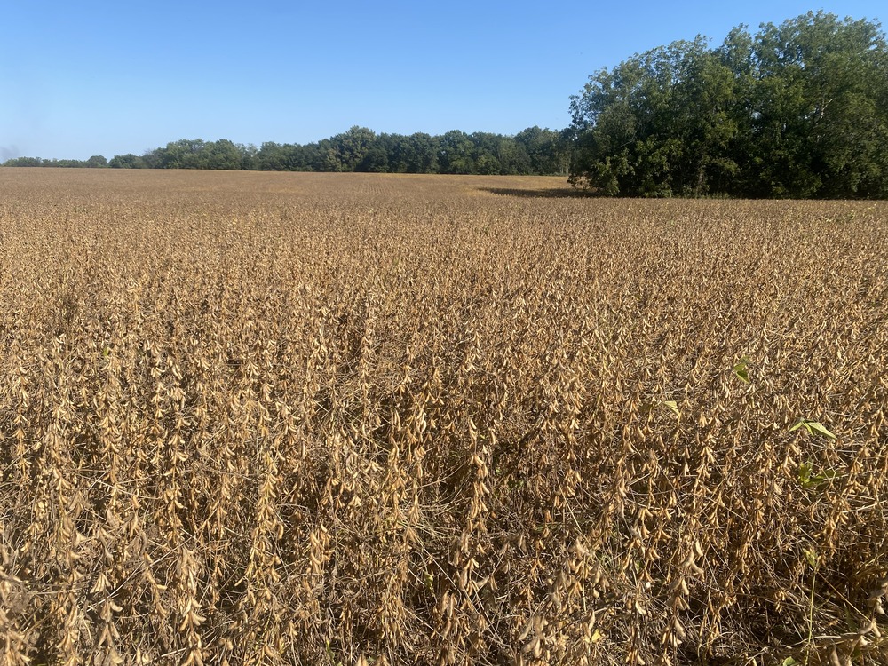 Balke Farm