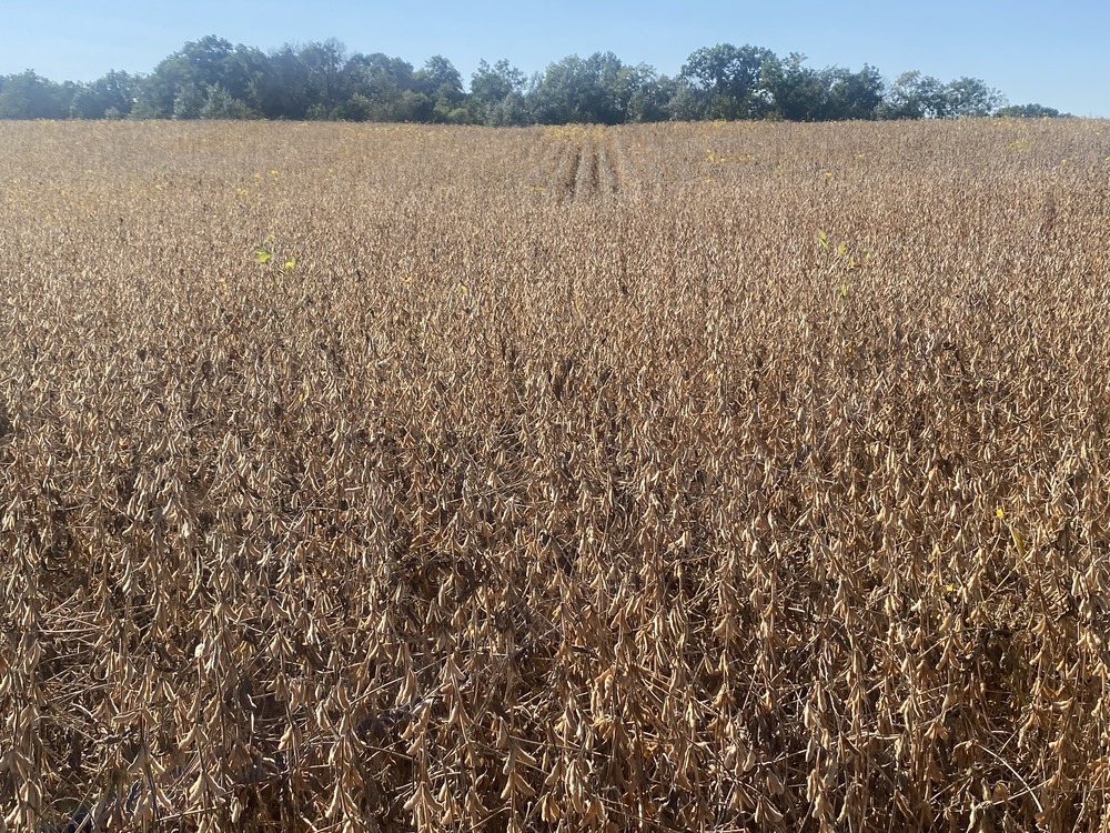 Balke Farm