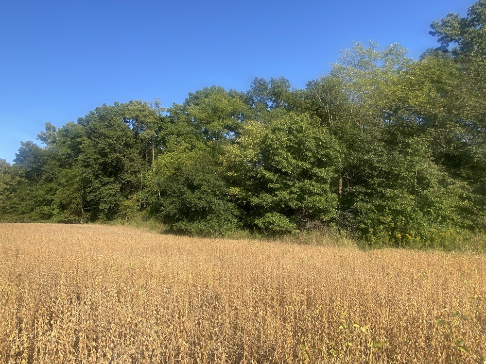 Balke Farm