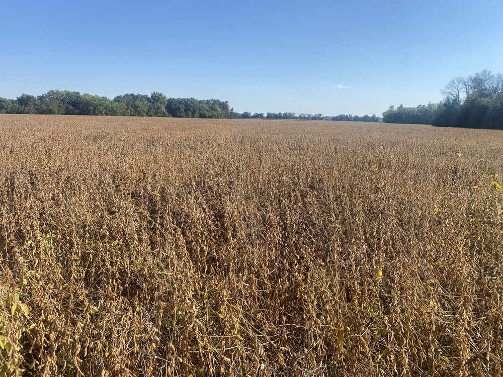 Balke Farm