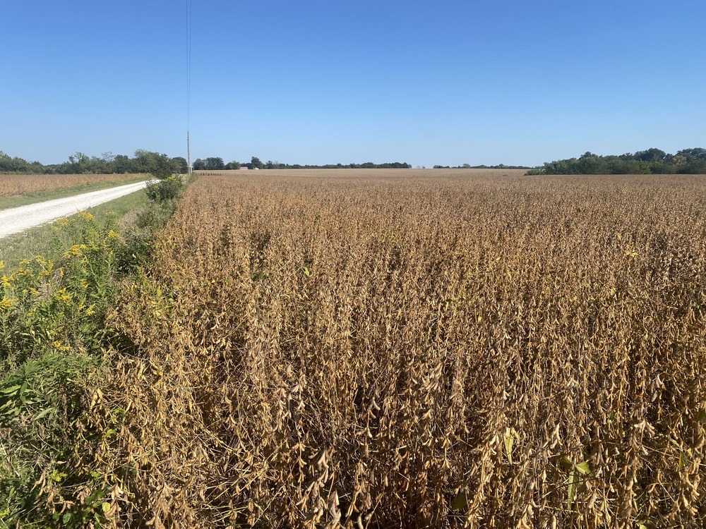 Balke Farm