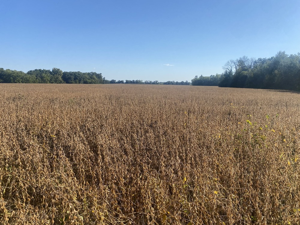Balke Farm